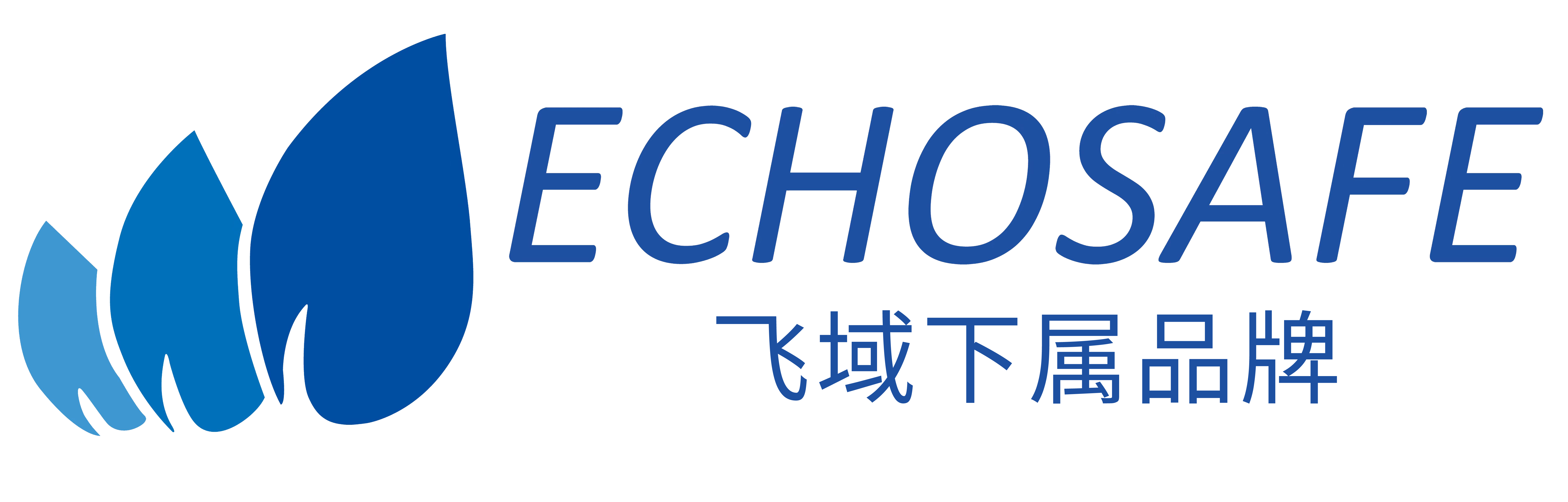 上海飞域
